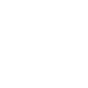 airplane (1) (1)